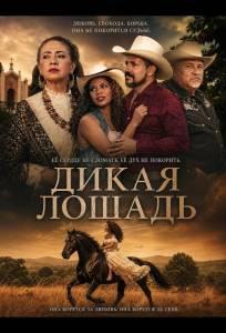 Дикая лошадь (фильм 2024)